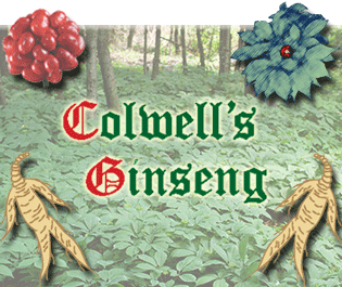 Colwell's Ginseng